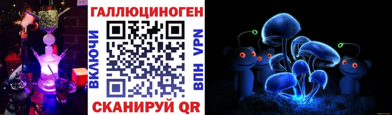 где купить   блэк спрут зеркало  Галлюциногенные грибы Psilocybine cubensis  Шали 